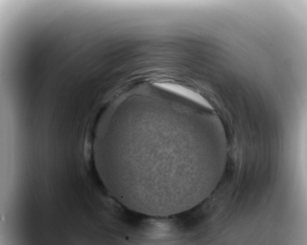 X0000088730763200706071640