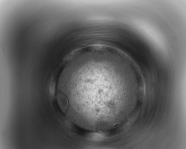 X0000088730765200706071640