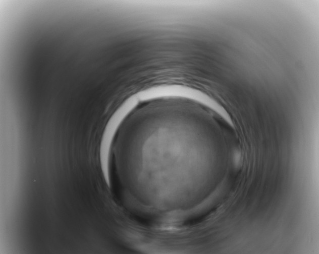 X0000088730767200706071640