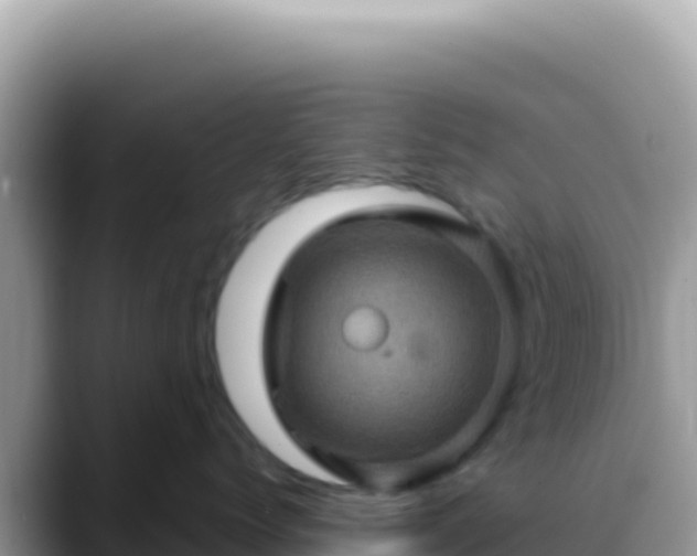 X0000088730768200706071640