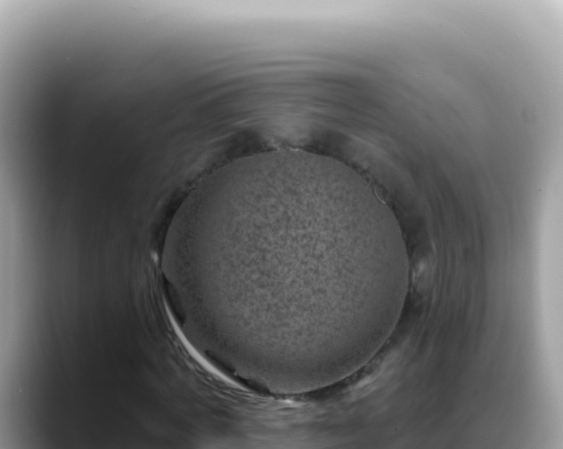 X0000088730772200706071639