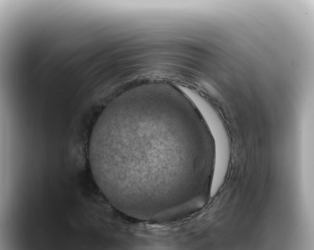 X0000088730774200706071639