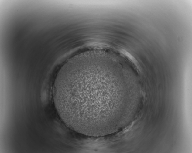 X0000088730775200706071639