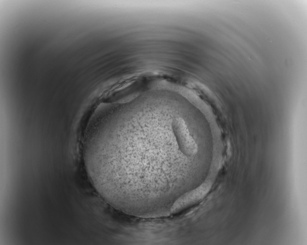 X0000088730776200706071639