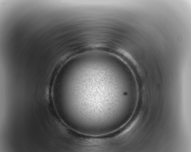 X0000088730777200706071639