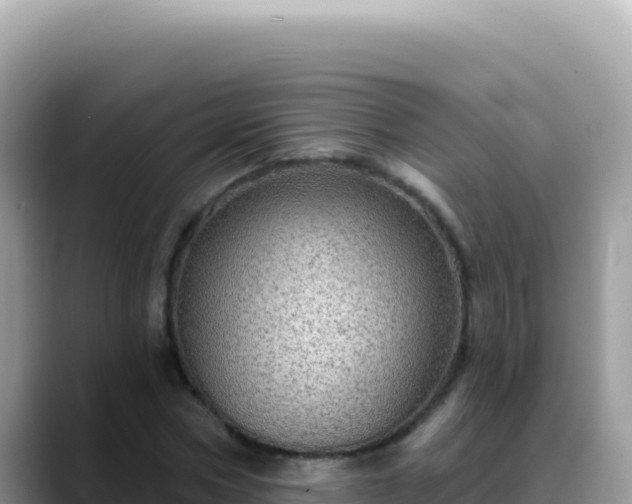 X0000088730778200706071639
