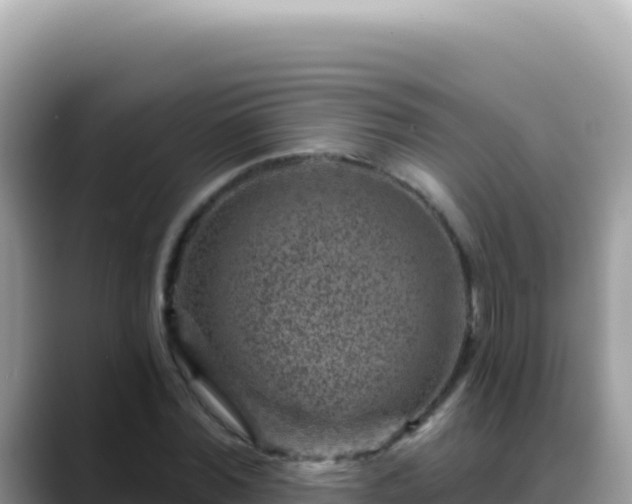 X0000088730780200706071639