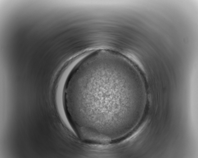X0000088730781200706071639
