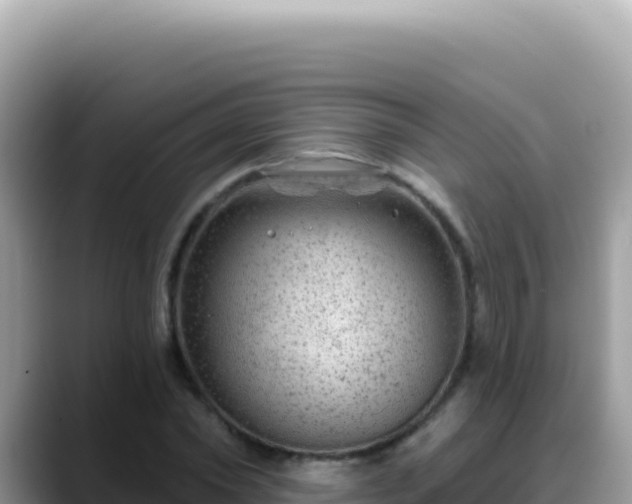 X0000088730782200706071639