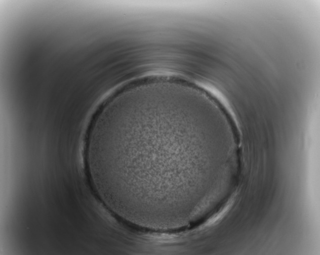 X0000088730783200706071639