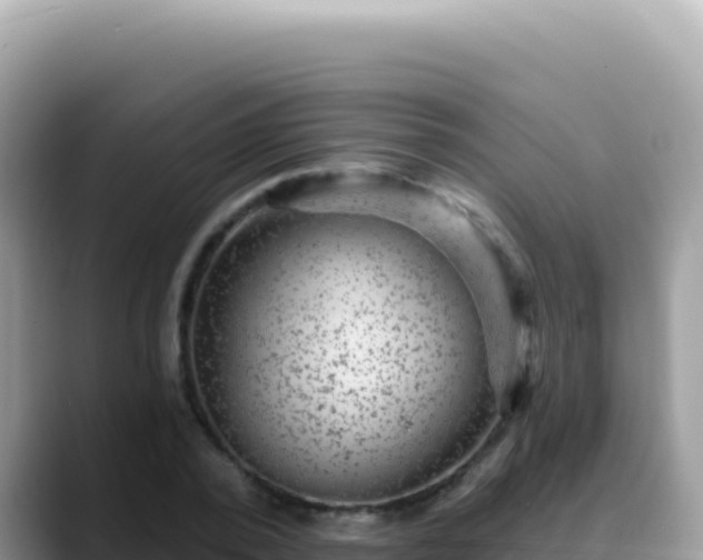 X0000088730784200706071639