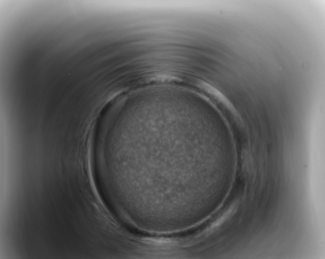 X0000088730785200706071639