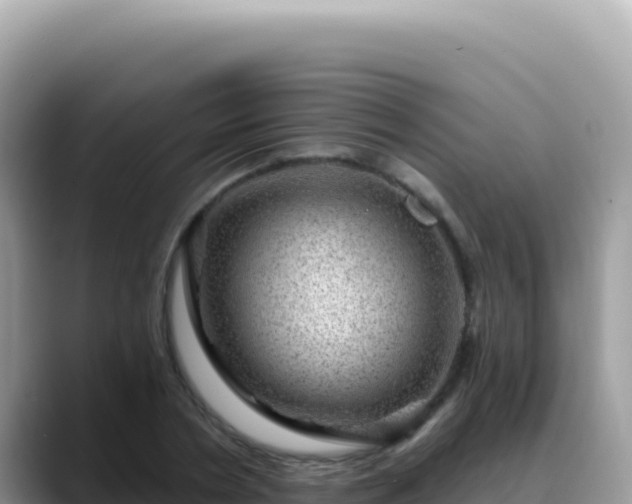 X0000088730786200706071639