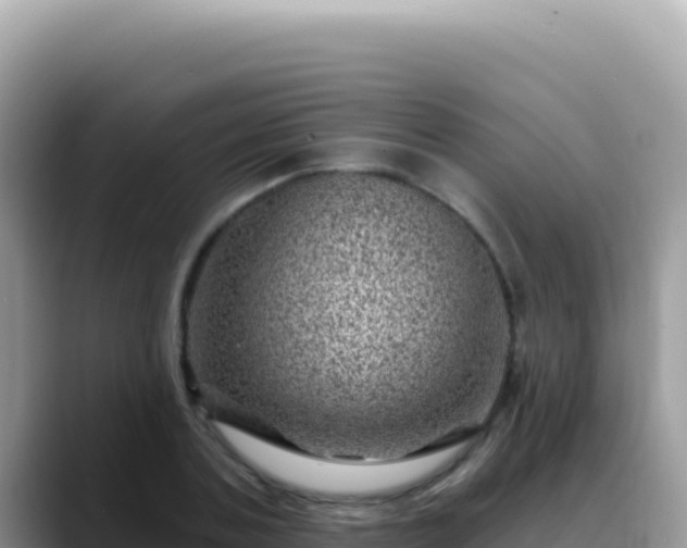 X0000088730787200706071639
