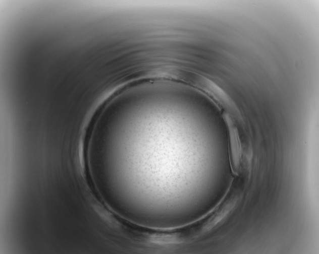 X0000088730788200706071639