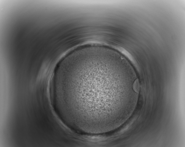 X0000088730791200706071639