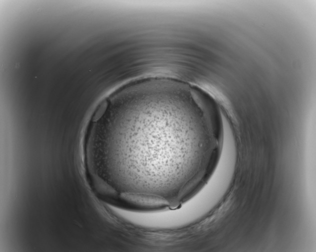 X0000088730792200706071639