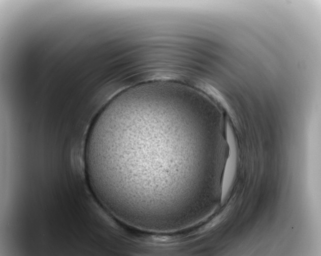 X0000088730794200706071639