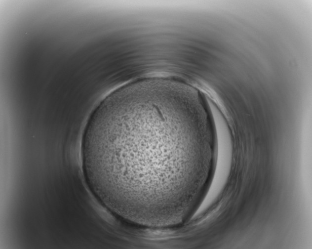 X0000088730795200706071639