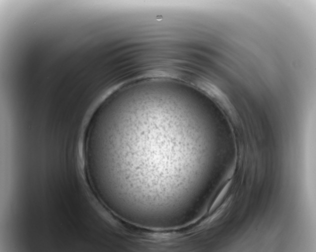 X0000088730796200706071639