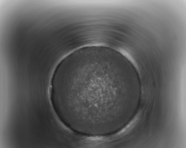 X0000088730797200706071639