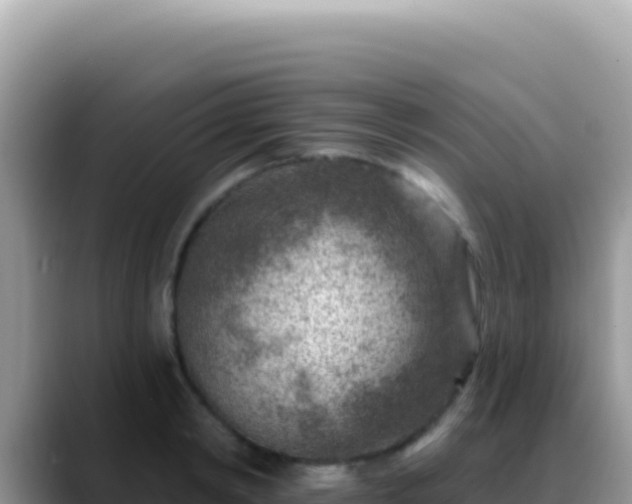 X0000088730798200706071639