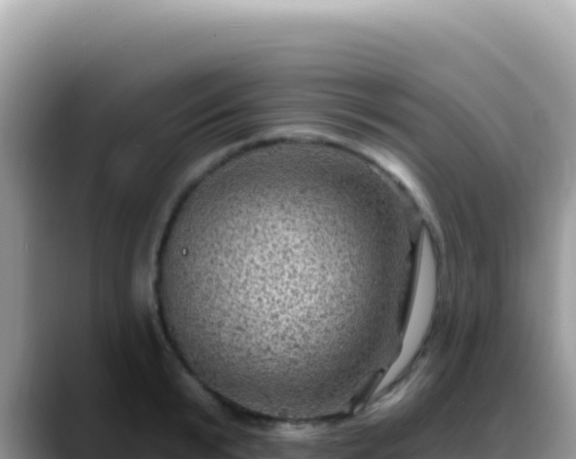X0000088730799200706071639
