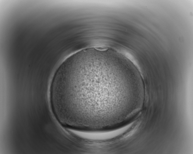X0000088730803200706071639