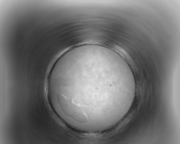 X0000088730804200706071639