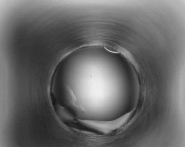 X0000088730805200706071639