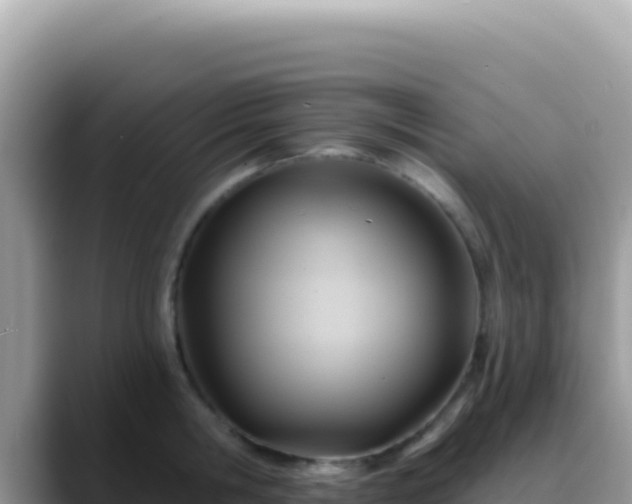 X0000088730806200706071639