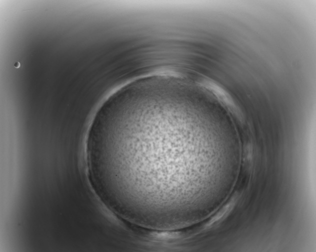 X0000088730808200706071638
