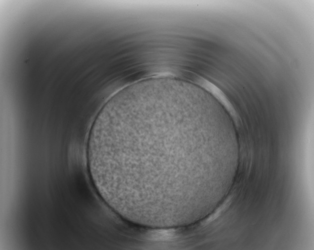 X0000088730810200706071638