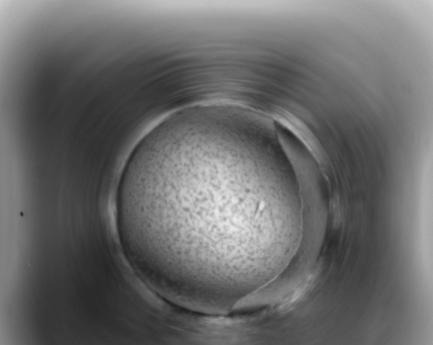 X0000088730812200706071638