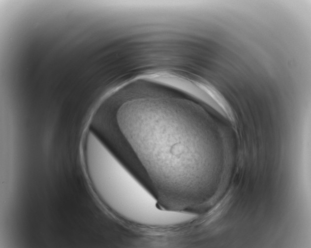 X0000088730813200706071638