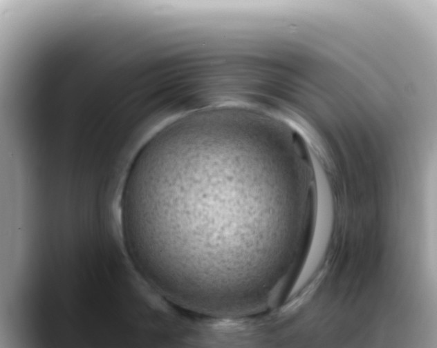 X0000088730814200706071638