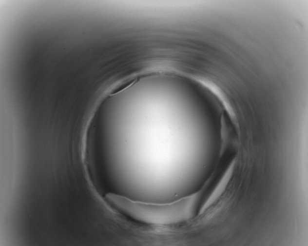X0000088730815200706071638