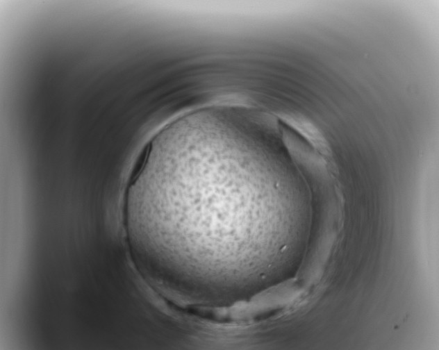 X0000088730816200706071638