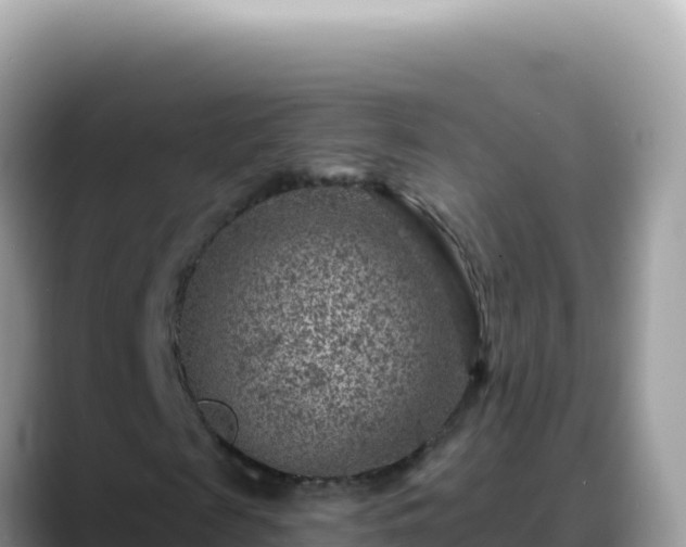 X0000088730817200706071638