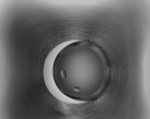 X0000088730818200706071638