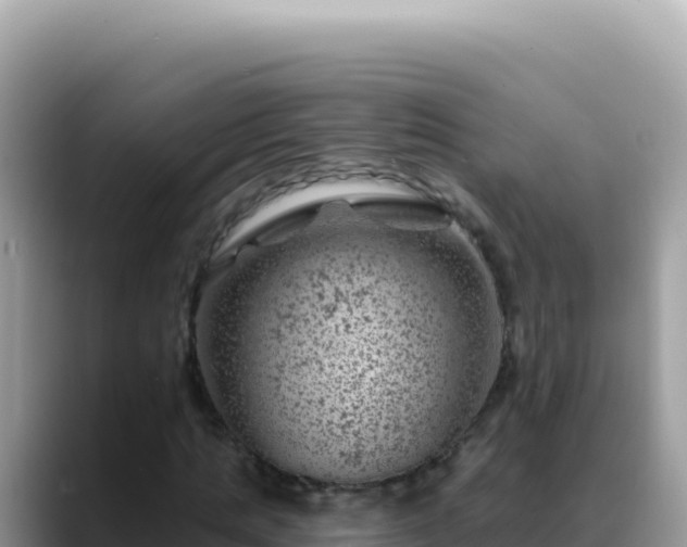X0000088730821200706071638