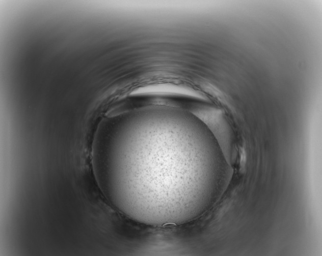 X0000088730822200706071638
