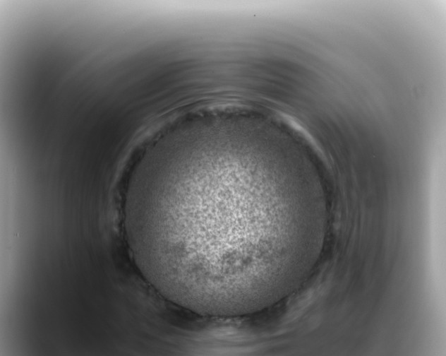 X0000088730823200706071638