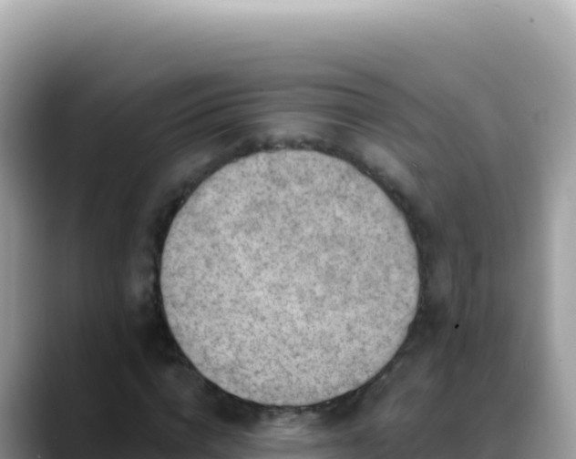 X0000088730824200706071638
