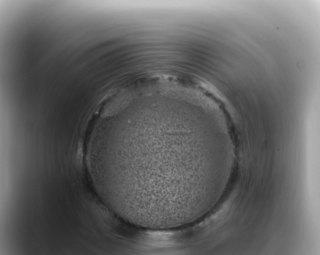 X0000088730825200706071638