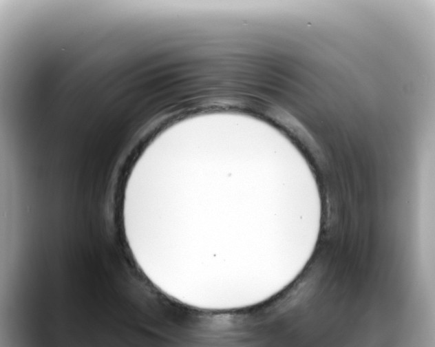 X0000088730828200706071638