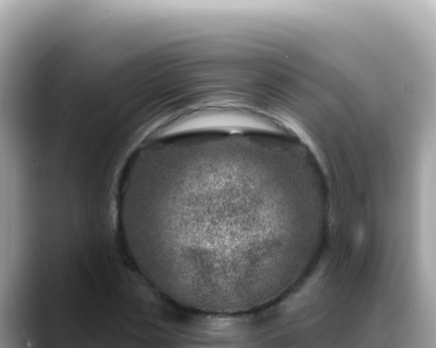 X0000088730829200706071638