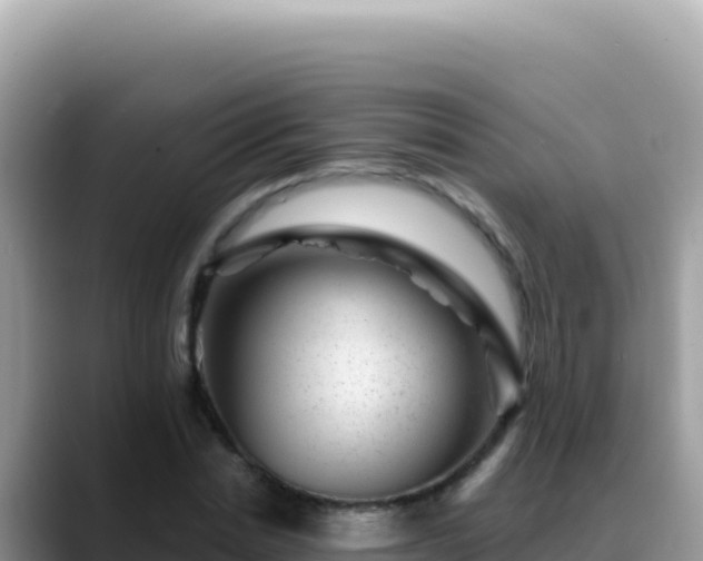X0000088730830200706071638