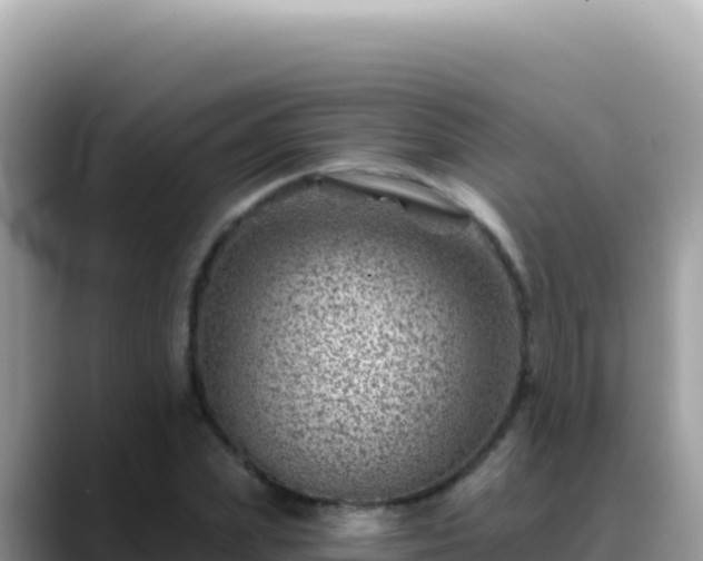 X0000088730831200706071638