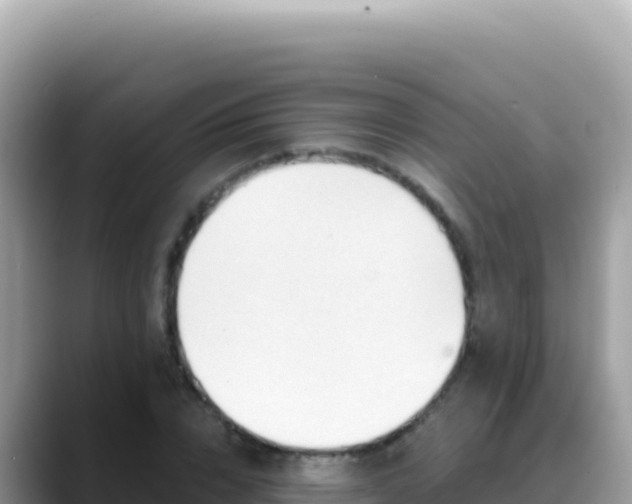 X0000088730832200706071638